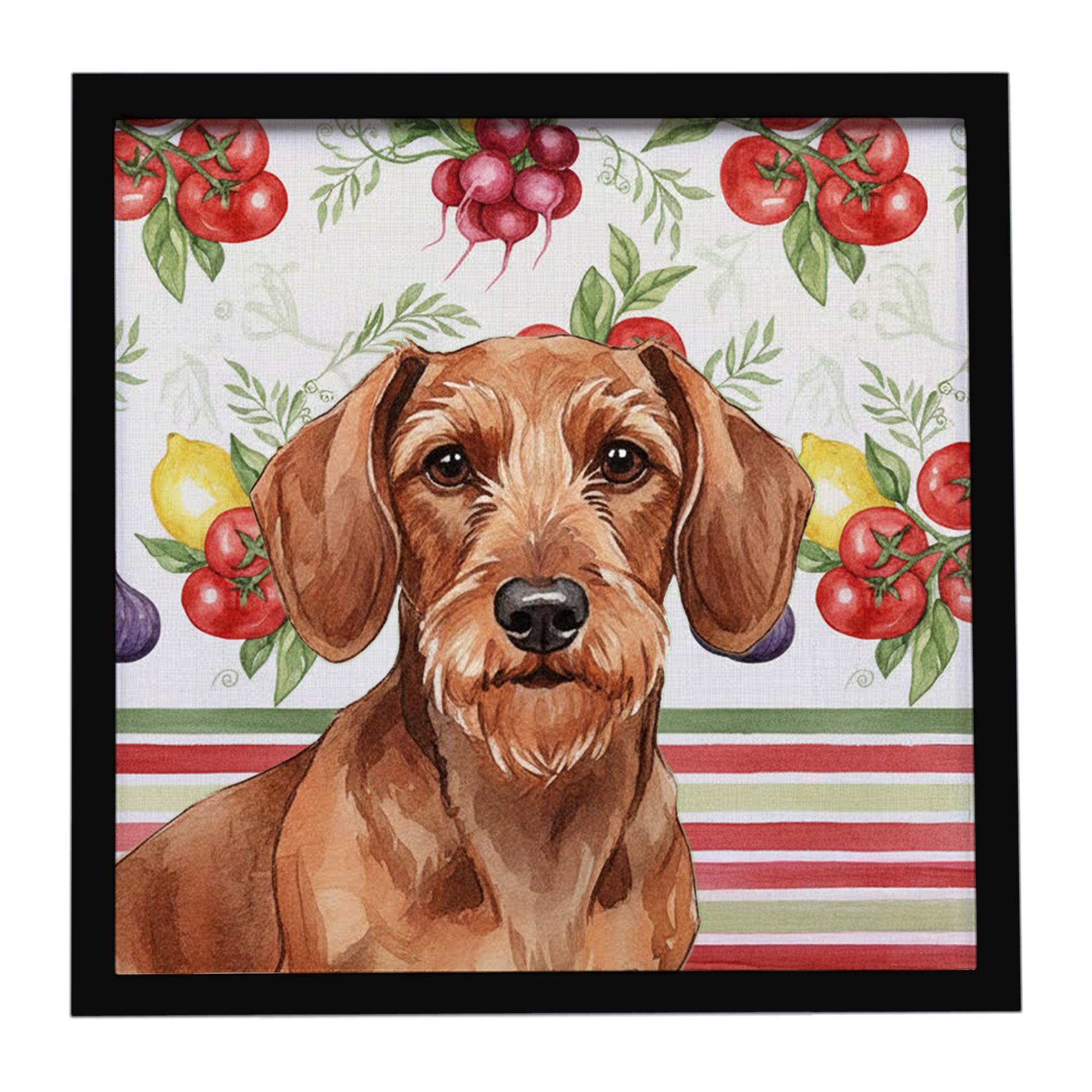 Buy this Wirehaired Red Dachshund Vegetables Framed Metal Print