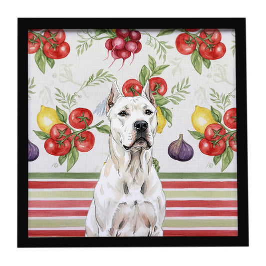 Buy this Dogo Argentino Vegetables Framed Metal Print