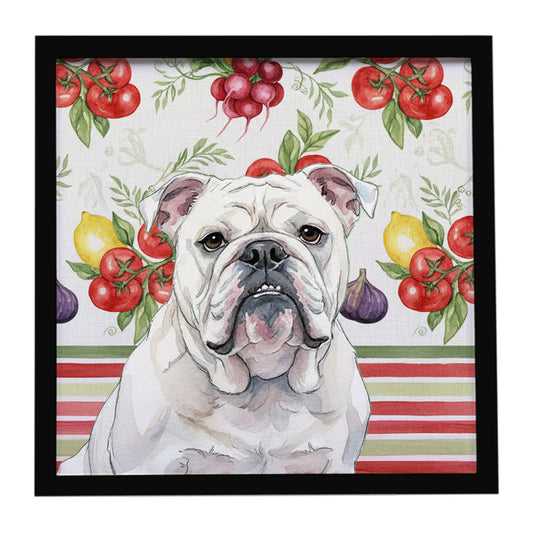 Buy this White English Bulldog Vegetables Framed Metal Print