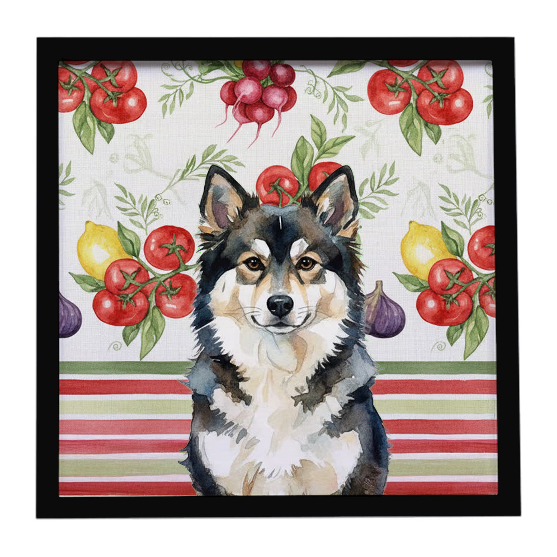 Buy this Finnish Lapphund Vegetables Framed Metal Print