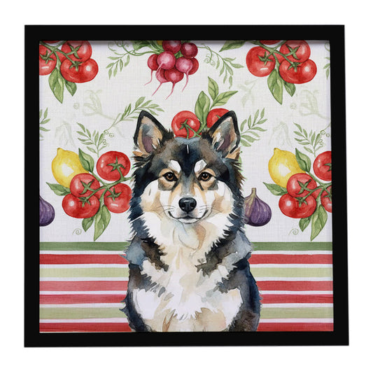 Buy this Finnish Lapphund Vegetables Framed Metal Print