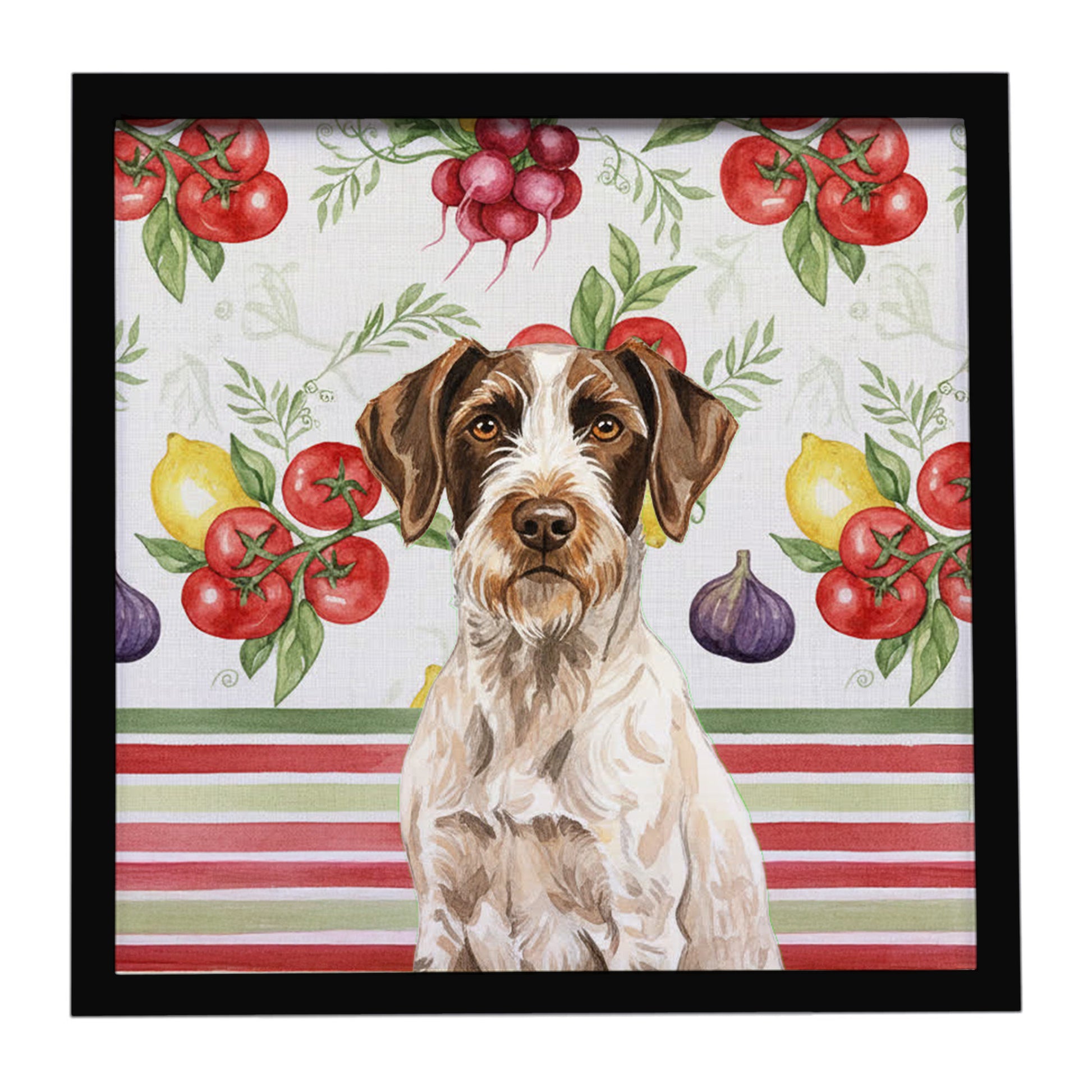 Buy this Liver and White German Wirehaired Pointer Vegetables Framed Metal Print