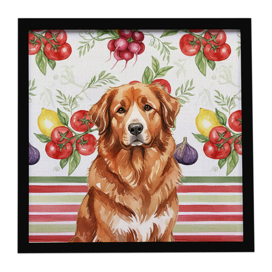 Buy this Reddish Brown Great Pyrenees Vegetables Framed Metal Print