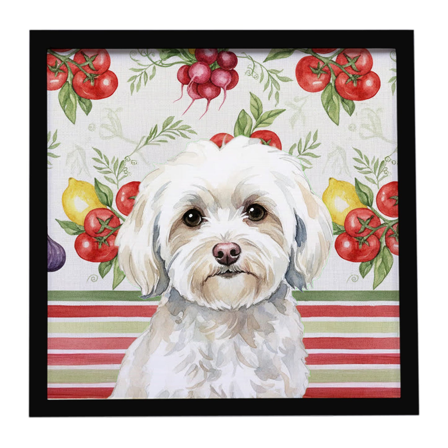 Buy this White Havanese Vegetables Framed Metal Print