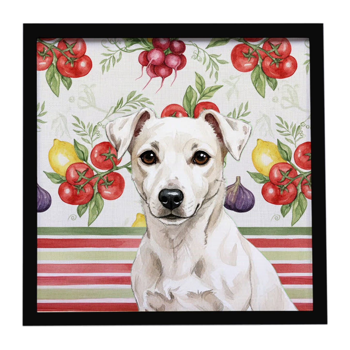 Buy this White Jack Russell Terrier Vegetables Framed Metal Print