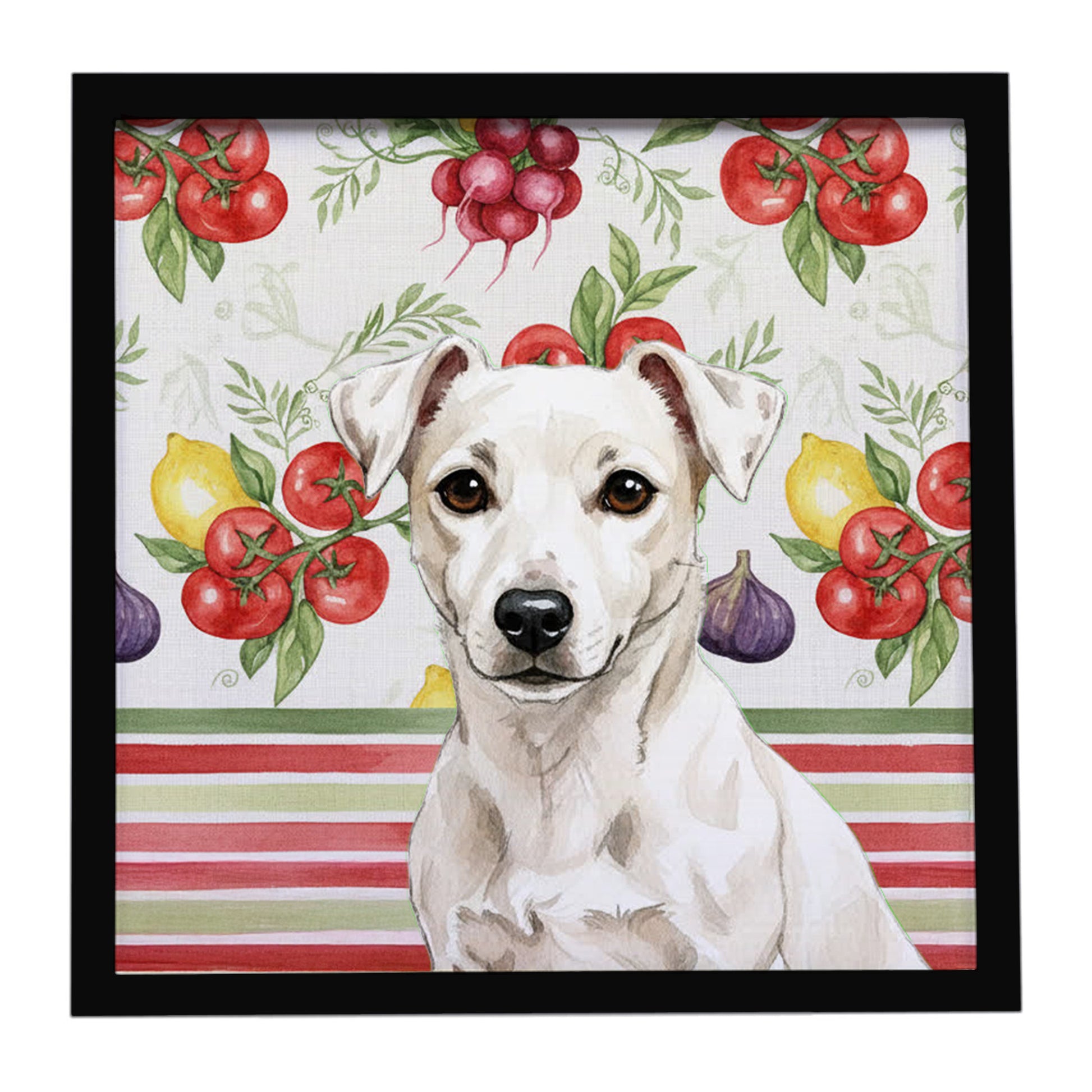 Buy this White Jack Russell Terrier Vegetables Framed Metal Print