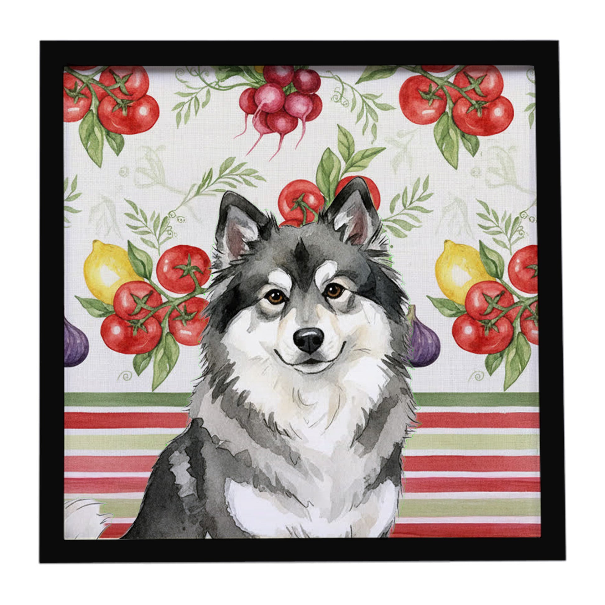 Buy this Keeshond Vegetables Framed Metal Print