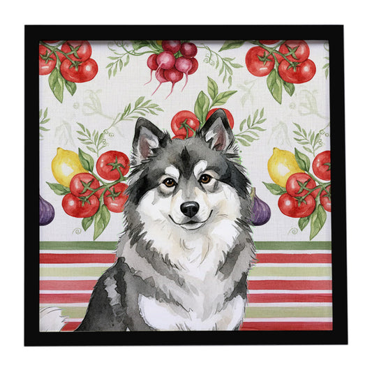 Buy this Keeshond Vegetables Framed Metal Print