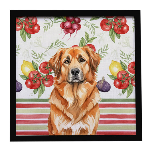 Buy this Red Leonberger Vegetables Framed Metal Print