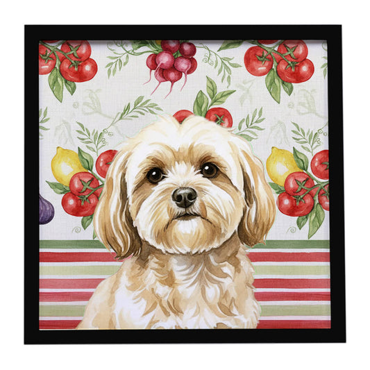 Buy this Cream Lhasa Apso Vegetables Framed Metal Print