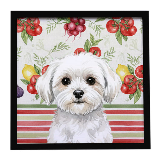 Buy this Maltese Vegetables Framed Metal Print