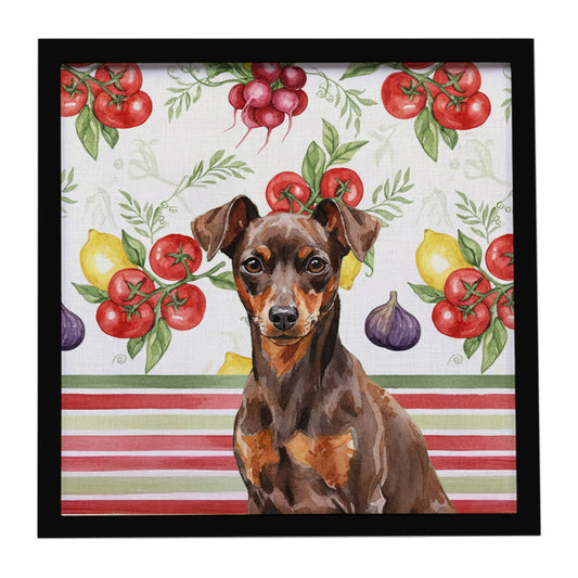 Buy this Chocolate and Rust Miniature Pinscher Min Pin Vegetables Framed Metal Print