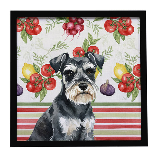 Buy this Black & Silver Miniature Schnauzer Vegetables Framed Metal Print