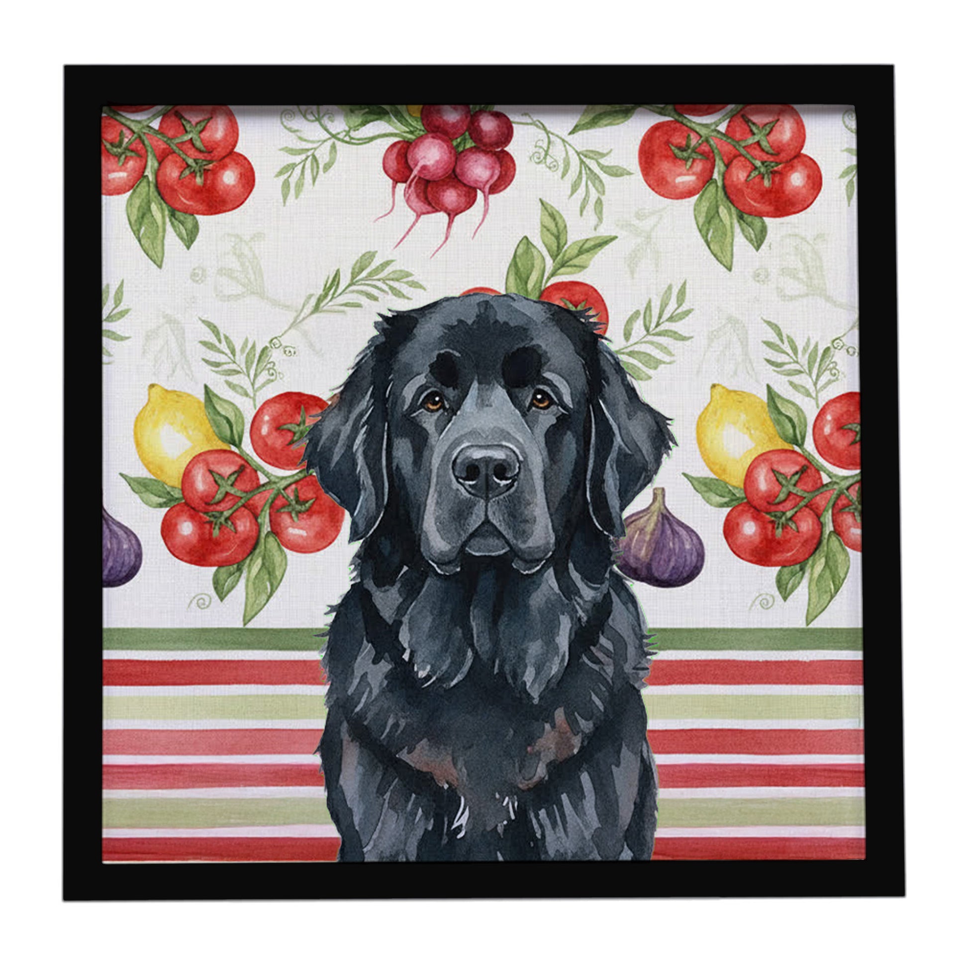 Buy this Black Newfoundland Vegetables Framed Metal Print