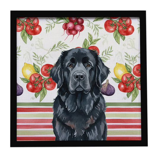 Buy this Black Newfoundland Vegetables Framed Metal Print