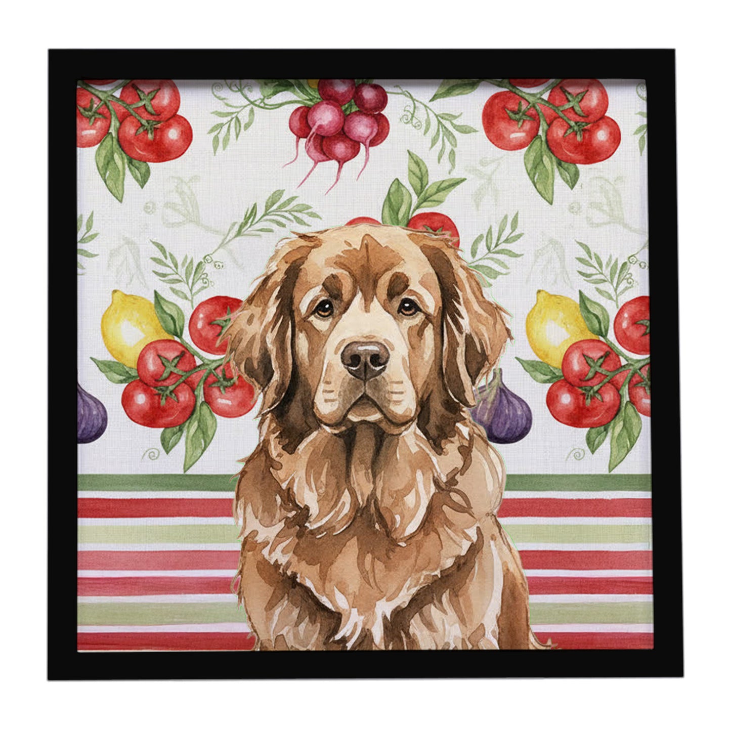 Buy this Brown Newfoundland Vegetables Framed Metal Print