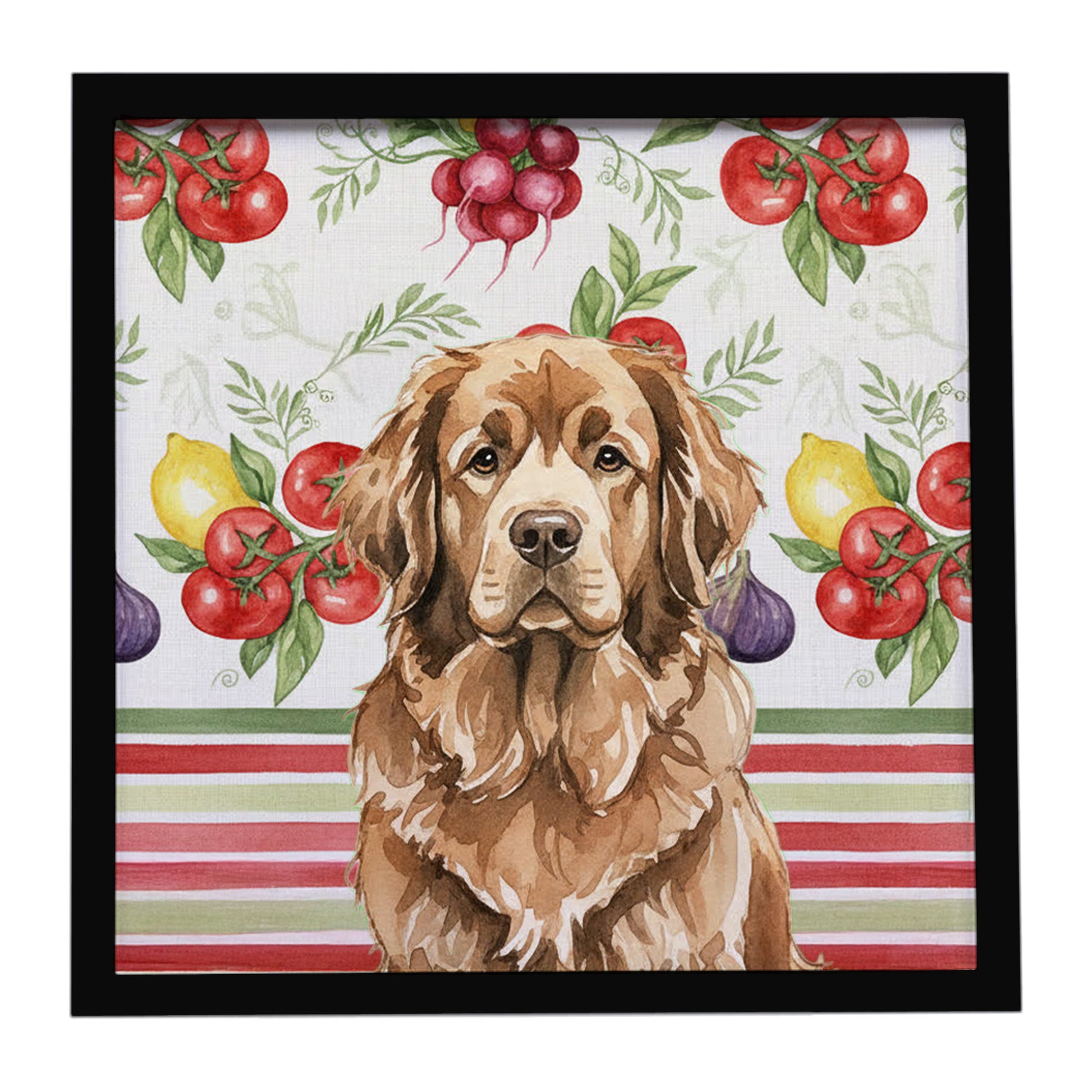 Buy this Brown Newfoundland Vegetables Framed Metal Print