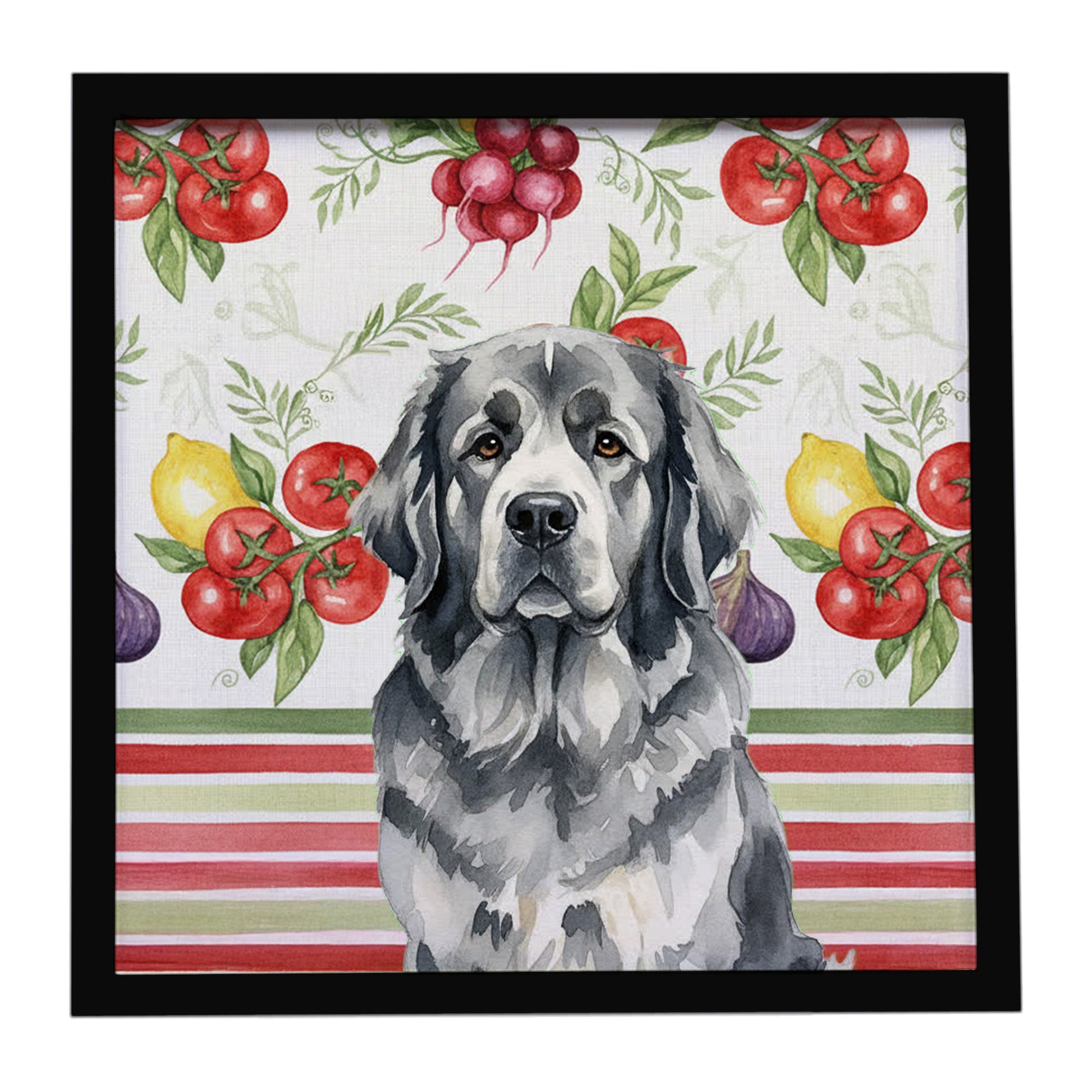 Buy this Gray Newfoundland Vegetables Framed Metal Print