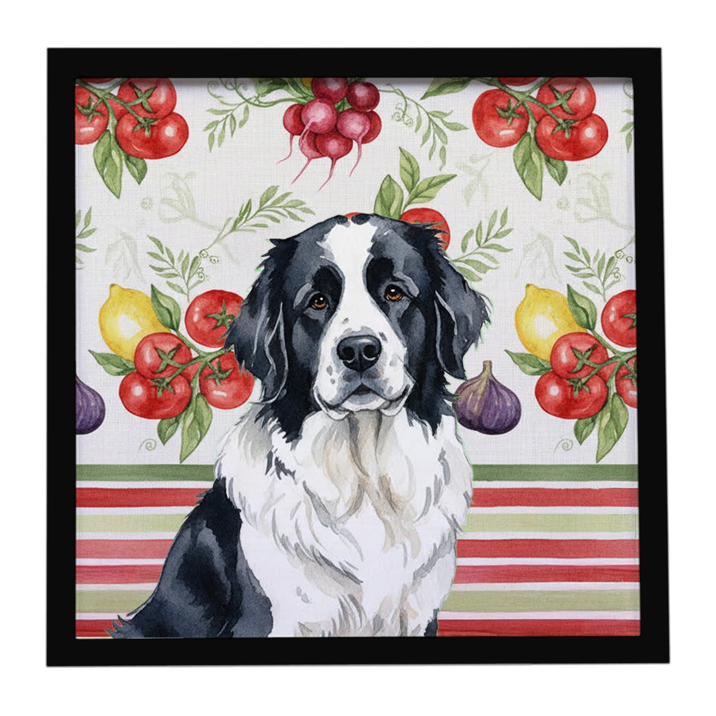 Buy this Landseer Newfoundland Vegetables Framed Metal Print