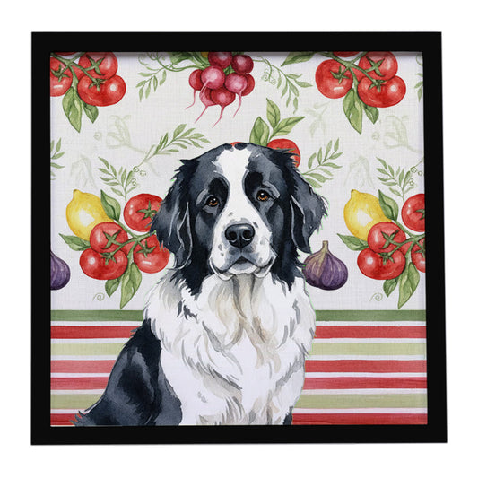 Buy this Landseer Newfoundland Vegetables Framed Metal Print