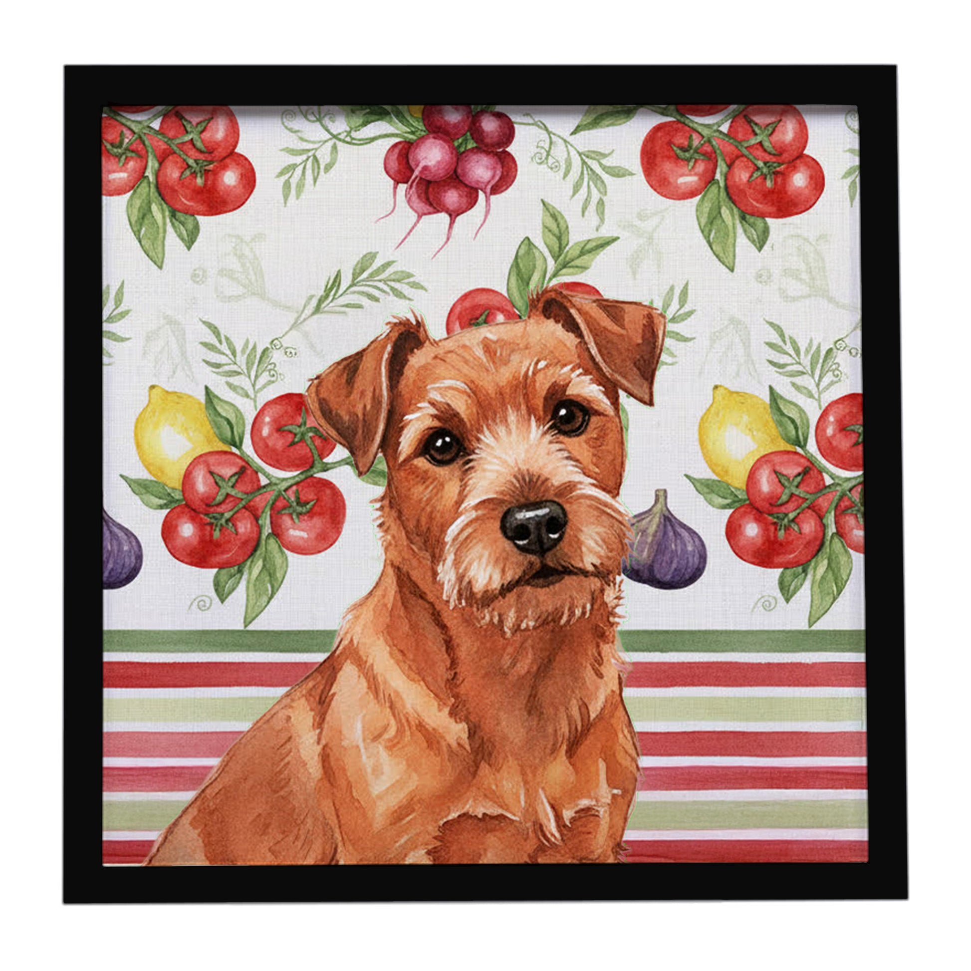 Buy this Red Norfolk Terrier Vegetables Framed Metal Print