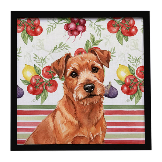 Buy this Red Norfolk Terrier Vegetables Framed Metal Print
