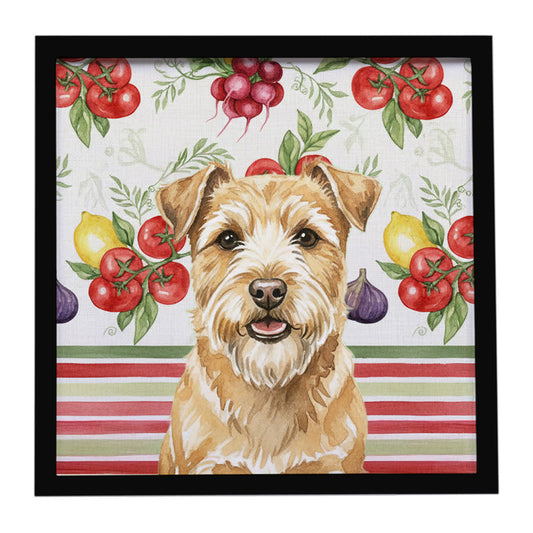 Buy this Wheaten Norfolk Terrier Vegetables Framed Metal Print