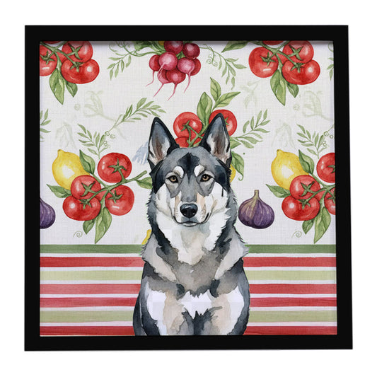 Buy this Norwegian Elkhound Vegetables Framed Metal Print