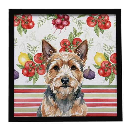 Buy this Norwich Terrier Vegetables Framed Metal Print