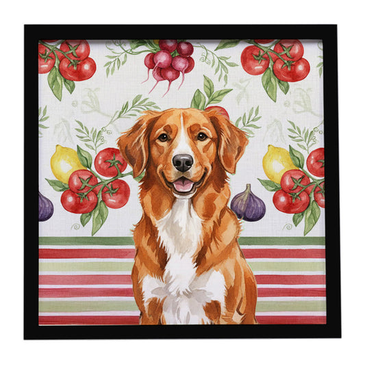 Buy this Orange Nova Scotia Duck Tolling Retriever Vegetables Framed Metal Print
