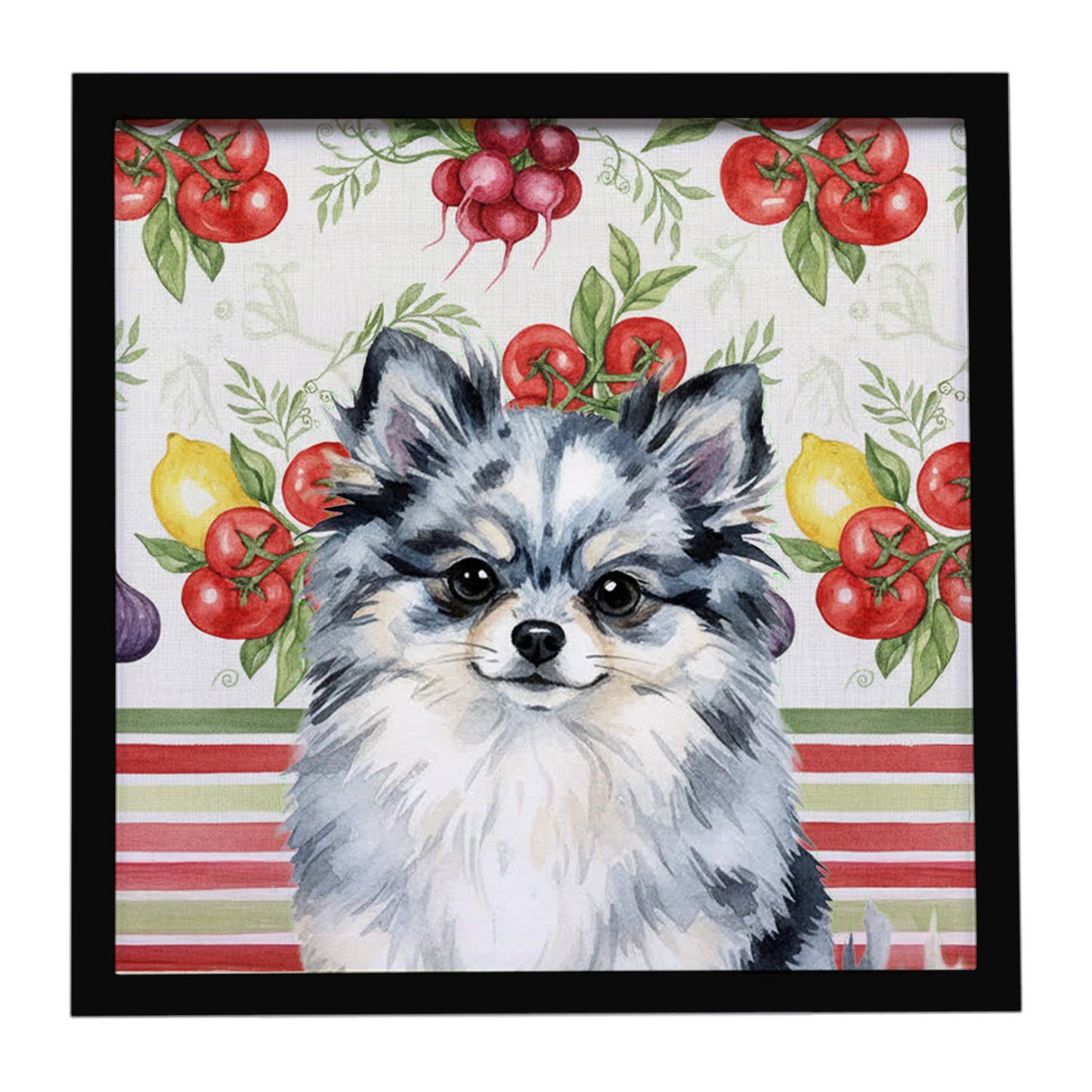 Buy this Blue Merle Pomeranian Vegetables Framed Metal Print