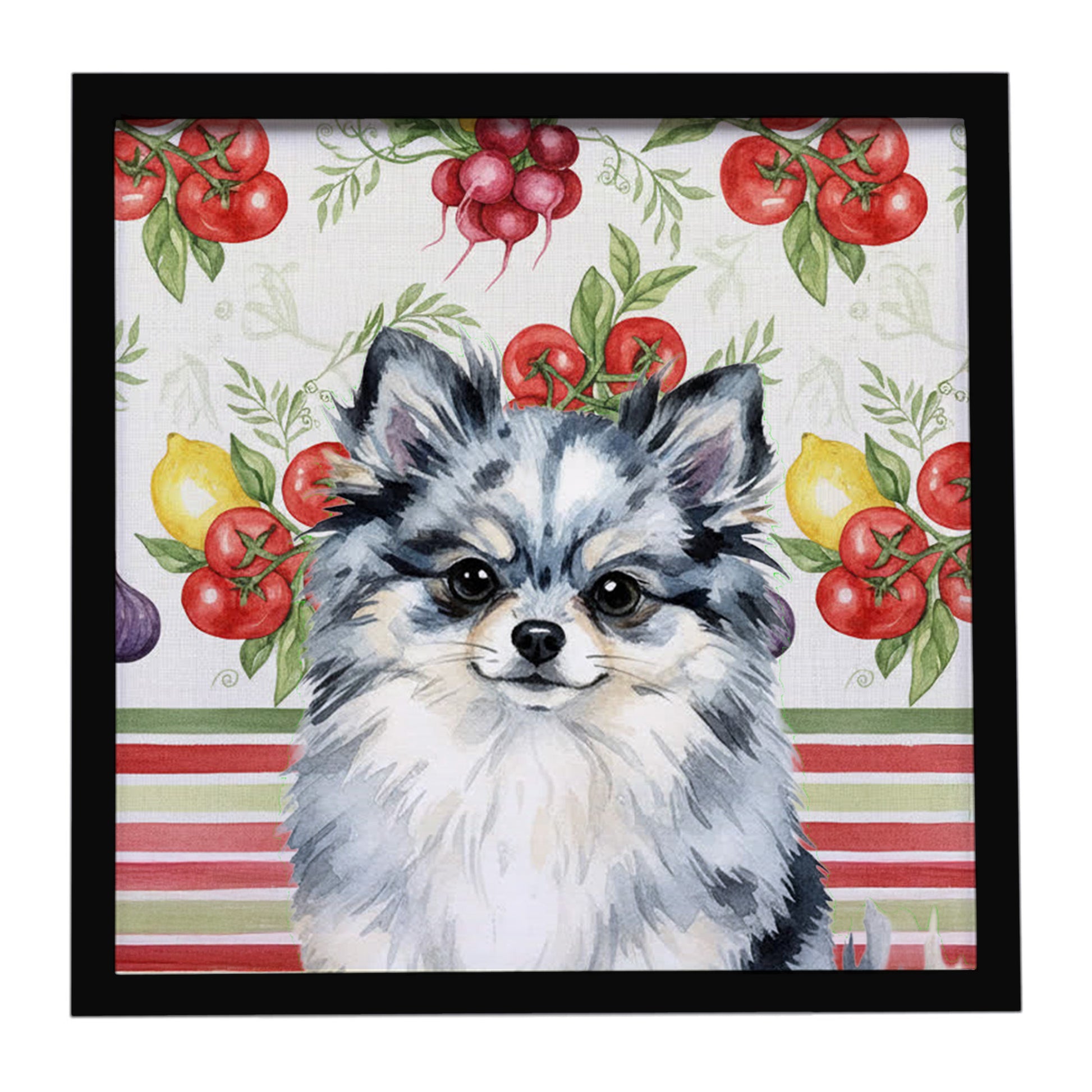 Buy this Blue Merle Pomeranian Vegetables Framed Metal Print