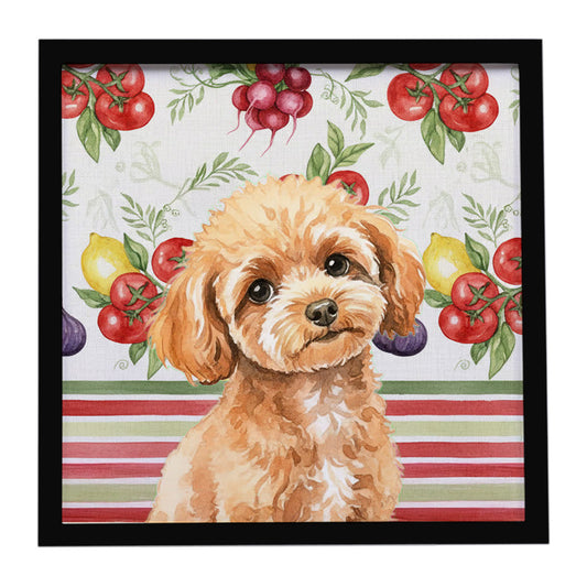 Buy this Toy Apricot Poodle Vegetables Framed Metal Print