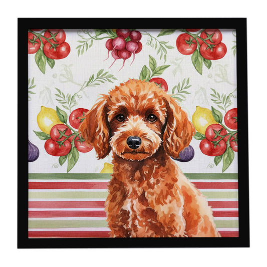 Buy this Toy Red Poodle Vegetables Framed Metal Print