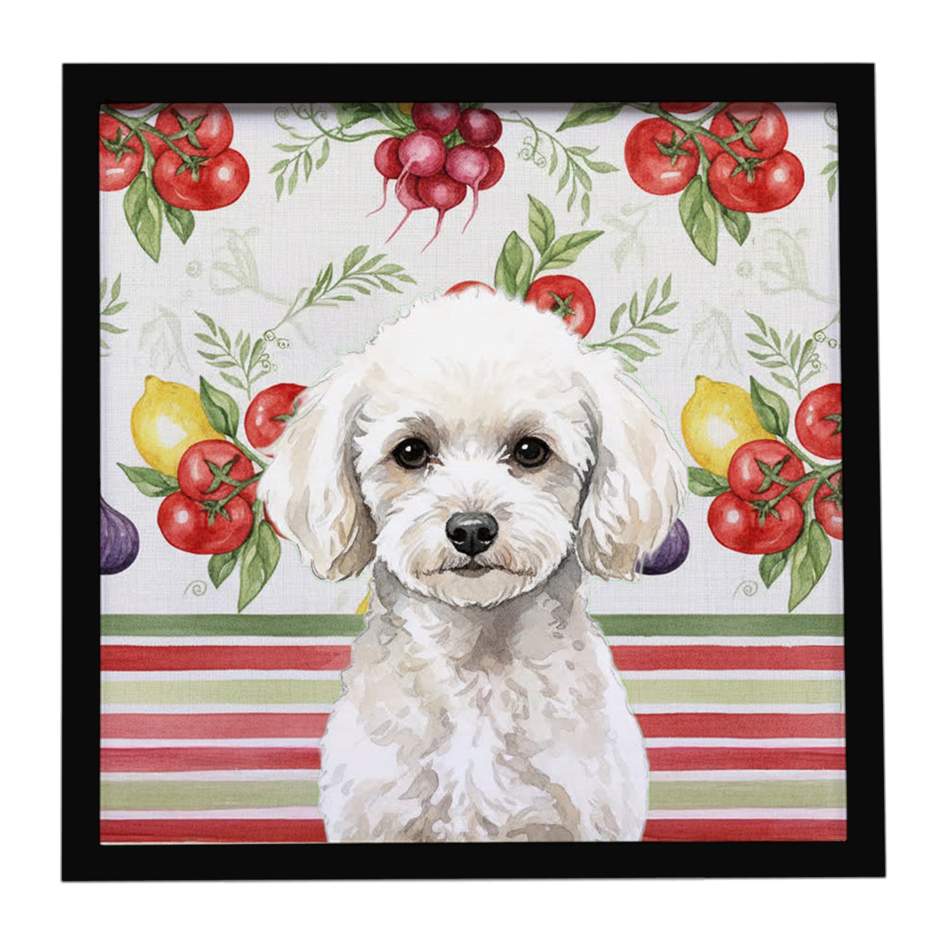 Buy this Toy White Poodle Vegetables Framed Metal Print