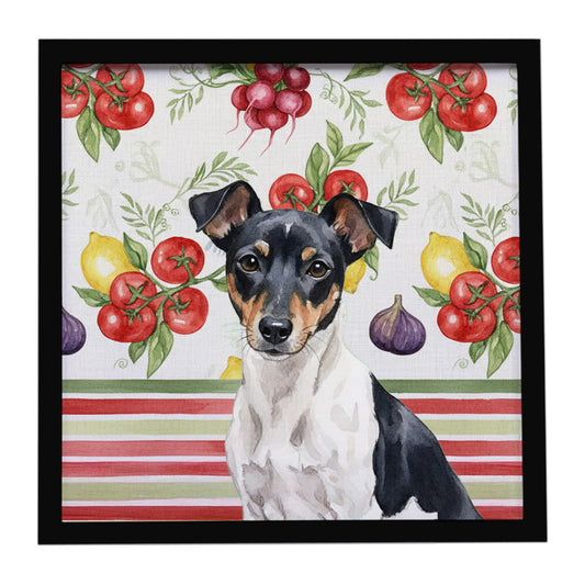 Buy this Black and White Rat Terrier Vegetables Framed Metal Print