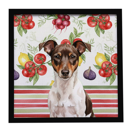 Buy this Chocolate and White Rat Terrier Vegetables Framed Metal Print