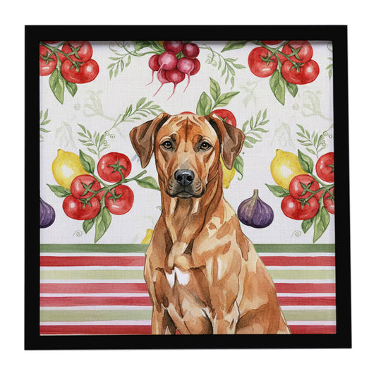 Buy this Rhodesian Ridgeback Vegetables Framed Metal Print