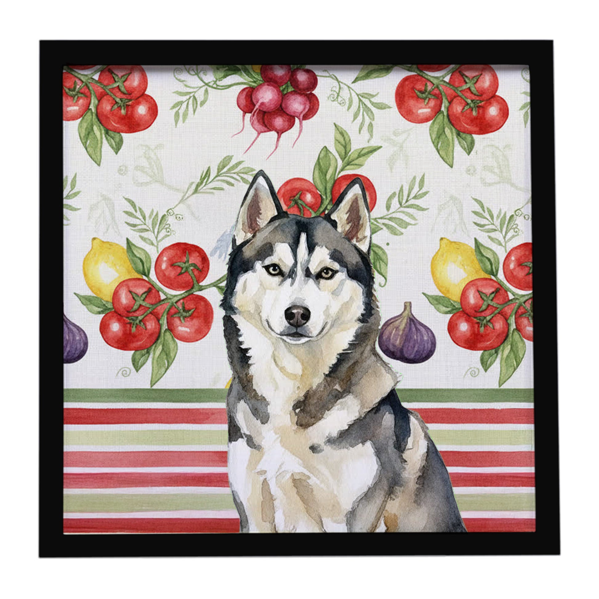 Buy this Agouti Siberian Husky Vegetables Framed Metal Print
