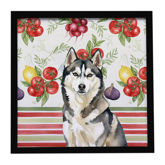 Buy this Agouti Siberian Husky Vegetables Framed Metal Print