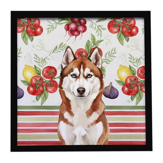 Buy this Red and White Siberian Husky Vegetables Framed Metal Print