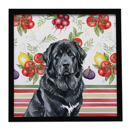 Buy this Black Tibetan Mastiff Vegetables Framed Metal Print