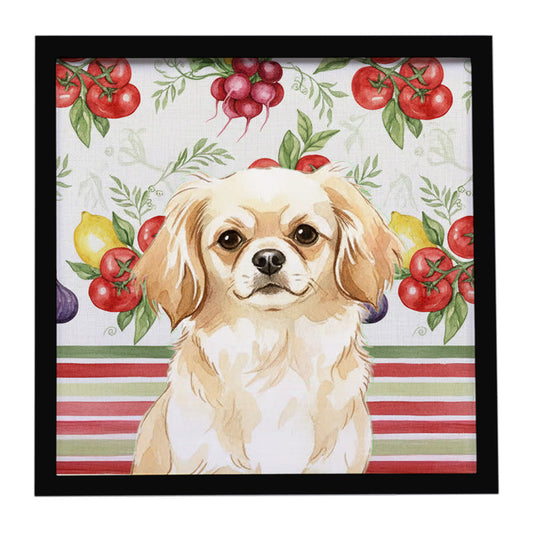 Buy this Cream Tibetan Spaniel Vegetables Framed Metal Print