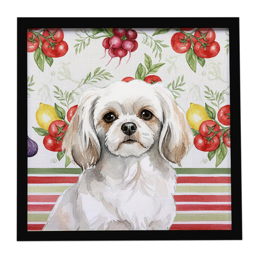 Buy this White Tibetan Spaniel Vegetables Framed Metal Print