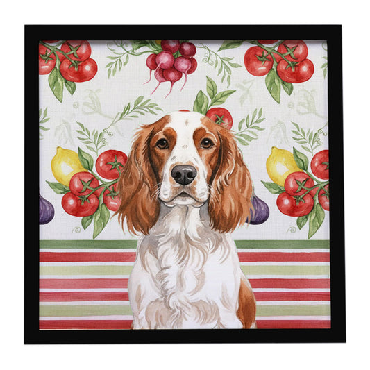 Buy this Welsh Springer Spaniel Vegetables Framed Metal Print