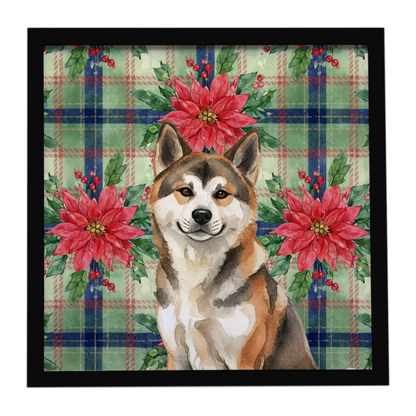 Buy this Sesame Akita Christmas PoinsettIas Framed Metal Print