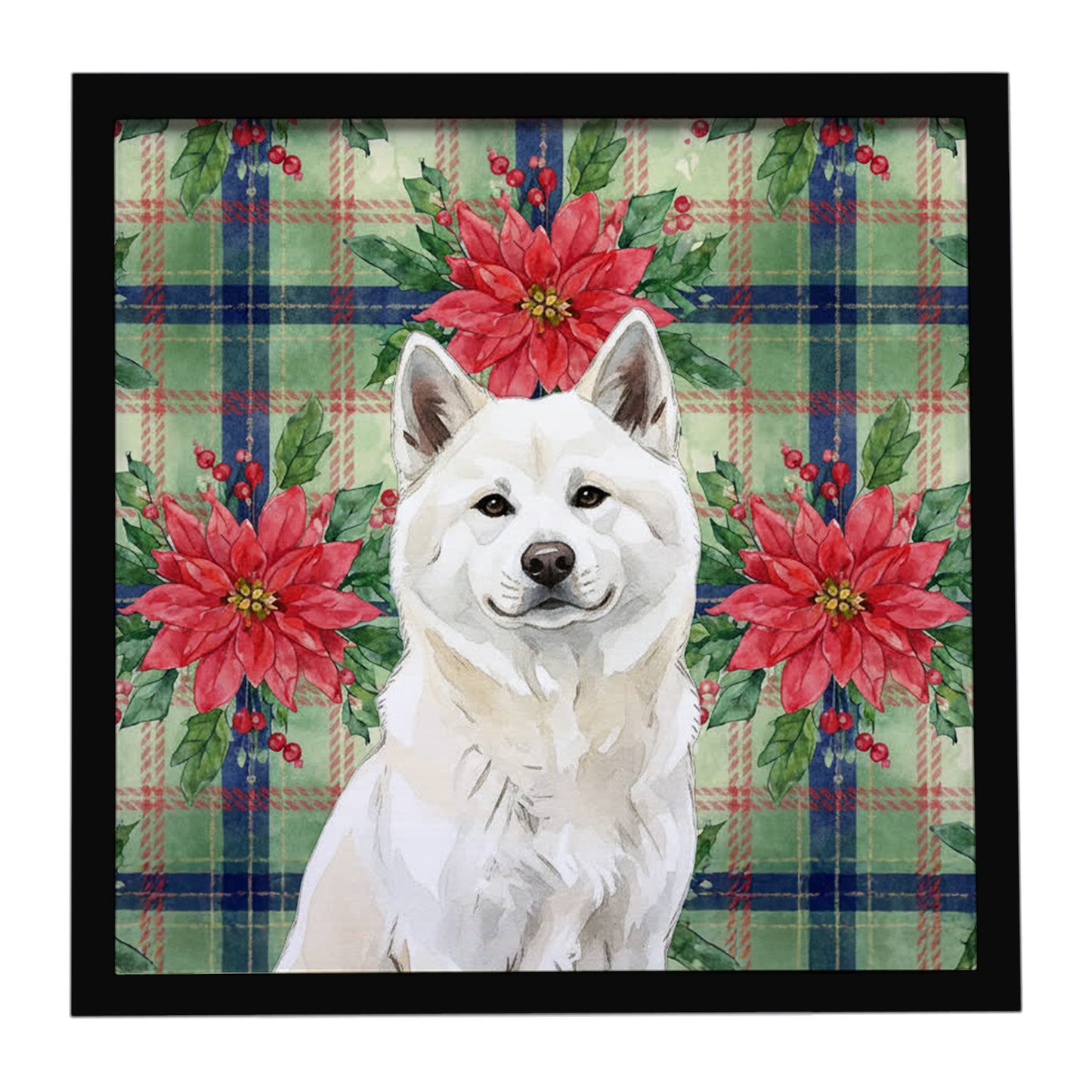 Buy this White Akita Christmas PoinsettIas Framed Metal Print