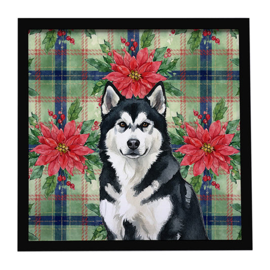 Buy this Black and White Alaskan Malamute Christmas PoinsettIas Framed Metal Print
