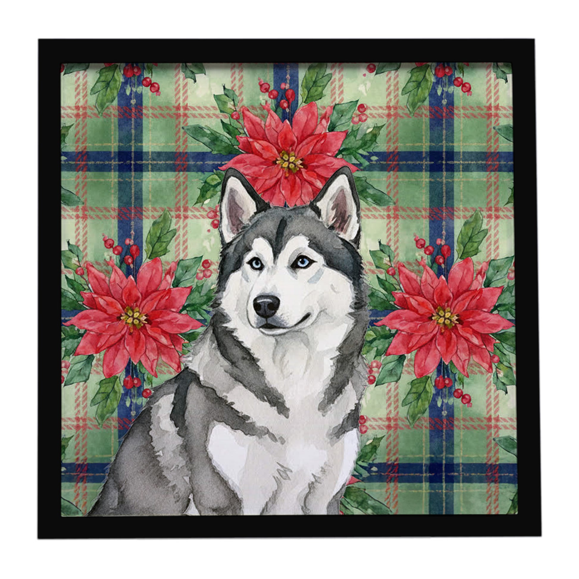 Buy this Gray and White Alaskan Malamute Christmas PoinsettIas Framed Metal Print