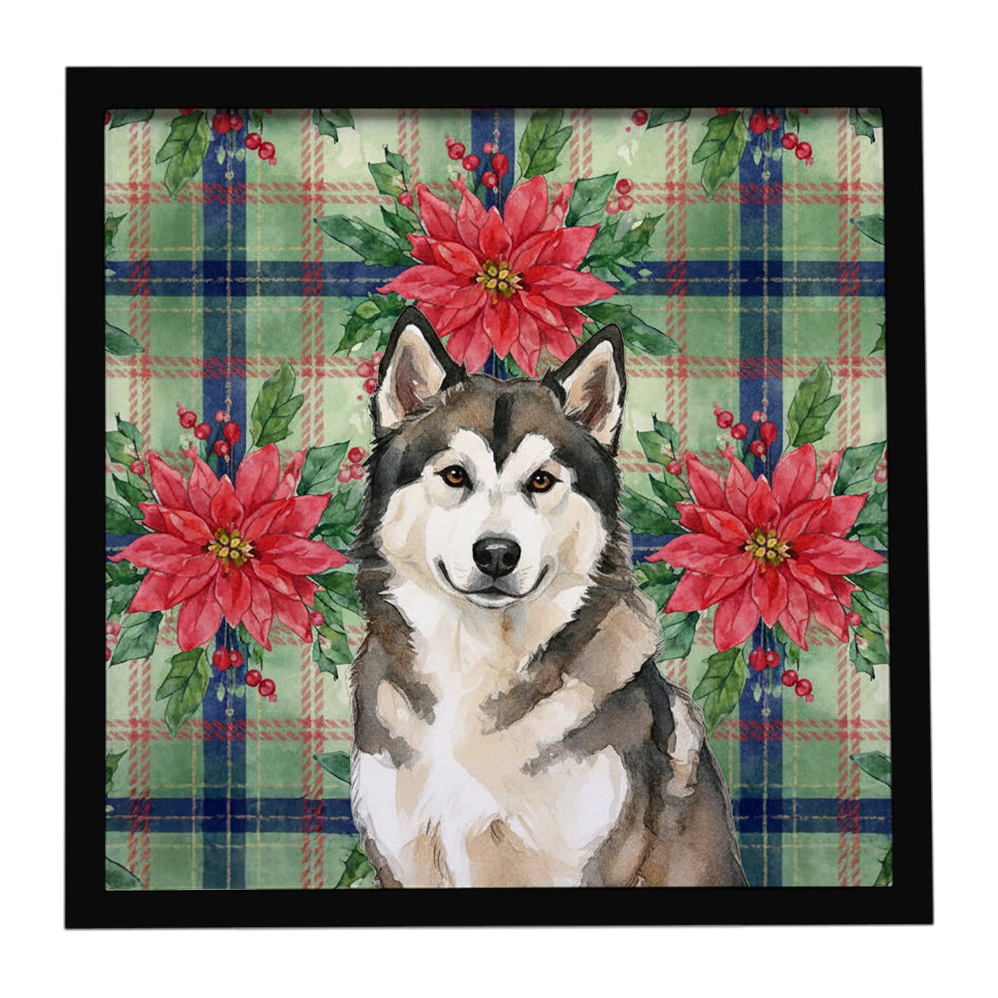 Buy this Sable and White Alaskan Malamute Christmas Poinsettas Framed Metal Print